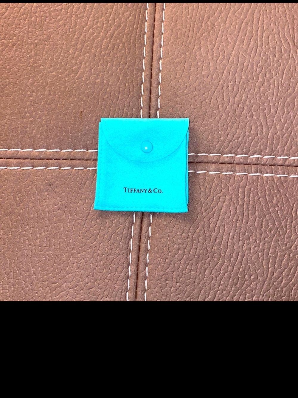 Tiffany & Co. Signature Turquoise Snap Pouch